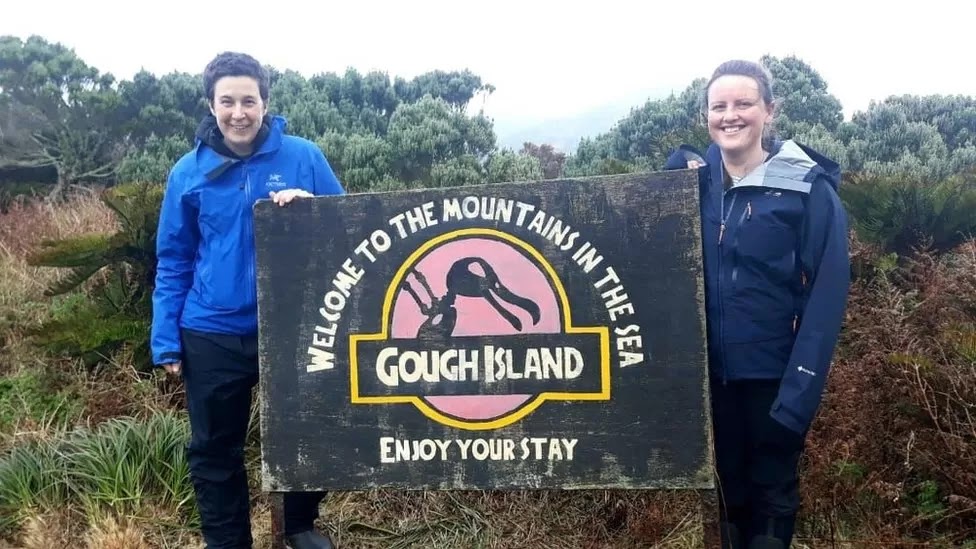 Gough Island: Employee looked for for among world's remotest places