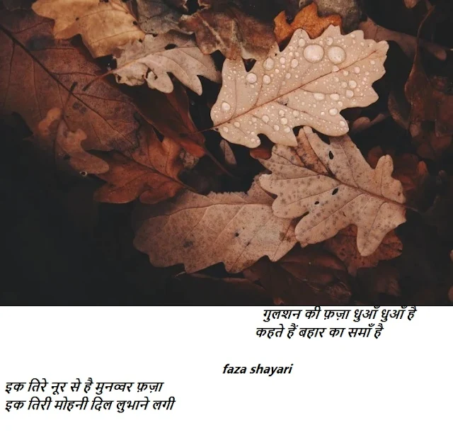 Faza Shayari Collection In Hindi फ़ज़ा' पर शायरों के अल्फ़ाज़