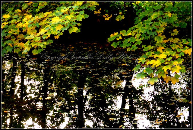 Parc du Cénacle automne Versailles