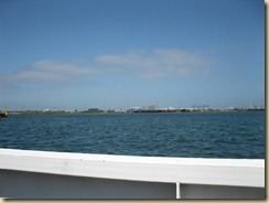 IMG_0833