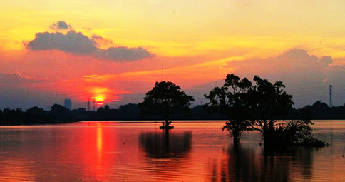 Sunset Situ Cipondoh