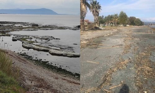 Θέμα συζήτησης σε όλη την Ελλάδα (και όχι μόνο) αποτελεί το έντονο φαινόμενο της άμπωτης το οποίο τις τελευταίες εβδομάδας έχει εξαφανίσει την θάλασσα από το παράκτιο μέτωπο όλης σχεδόν της χώρας.