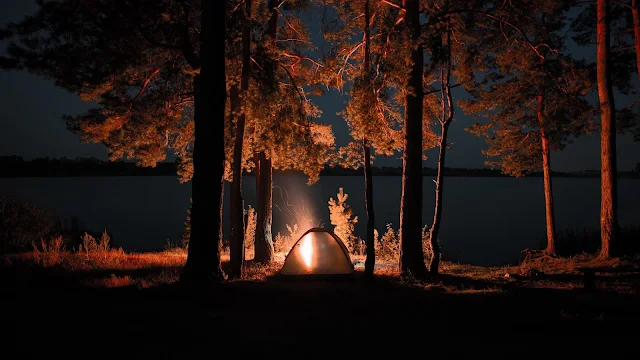 Campfire, Camping, Tent, Night, Nature