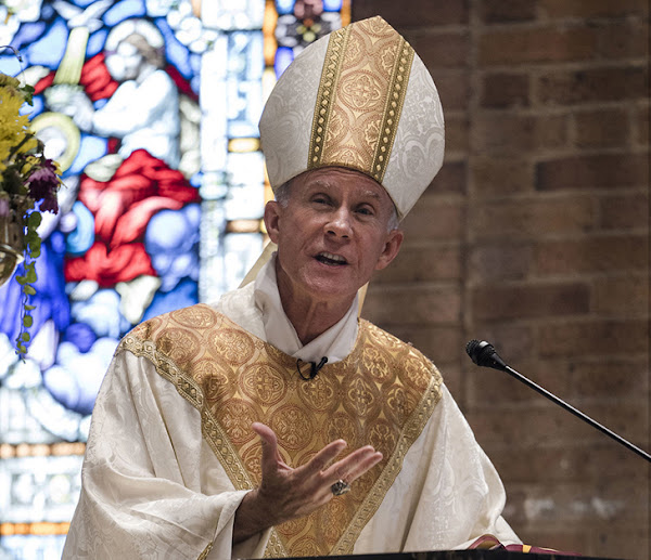 Papa destitui bispo de uma diocese do Texas contestatário do seu