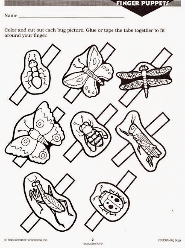 Insect Worksheets For Kids 3
