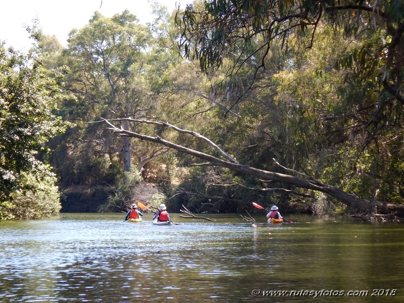 Kayak río Palmones