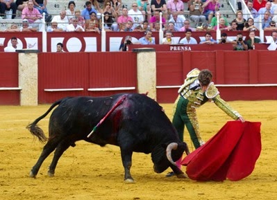 toros (56)
