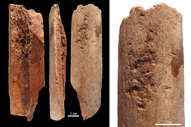 Discovery of 115,000-year-old bone tools in China