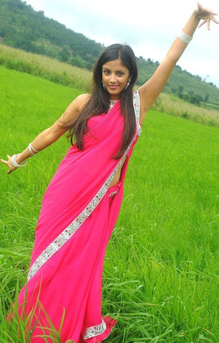 rithika in pink saree photo gallery