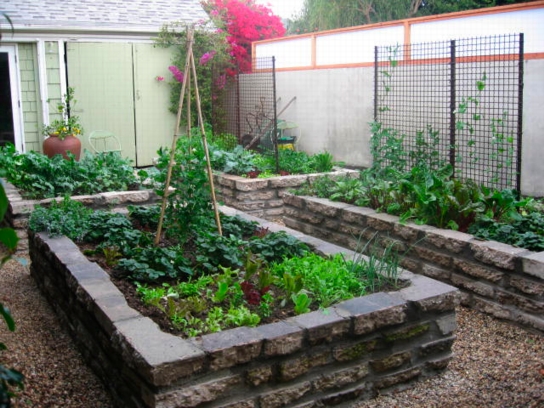 A Vegetable Garden Designed By