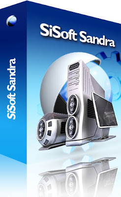 box SiSoftware Sandra Professional Home 2010.1.16.11 Portable Multilang 