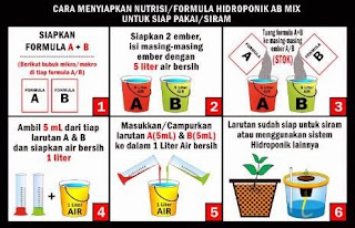 Cara Membuat Nutrisi dari Larutan A dan B