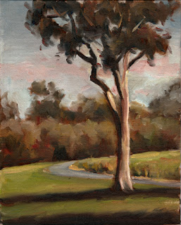 Oil painting of a lemon-scented gum beside a bitumen path with trees and shrubs in the background. 