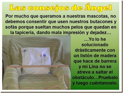 140612 BUTACA