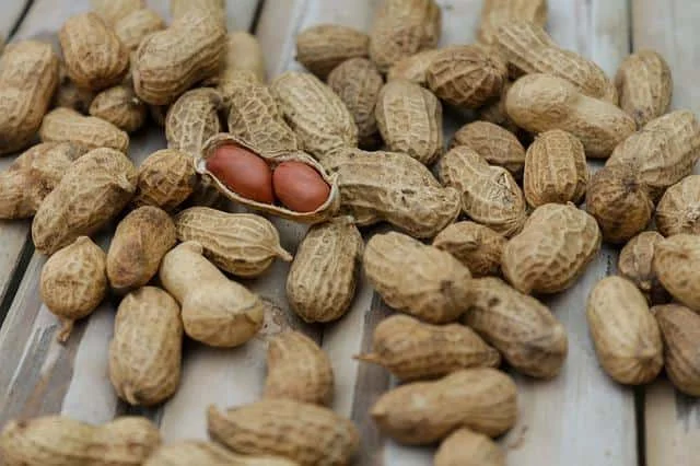 The use of peanuts for weight gain is extremely beneficial, but using peanuts together increases the effectiveness of peanuts. Peel a squash, grate it and squeeze the juice.