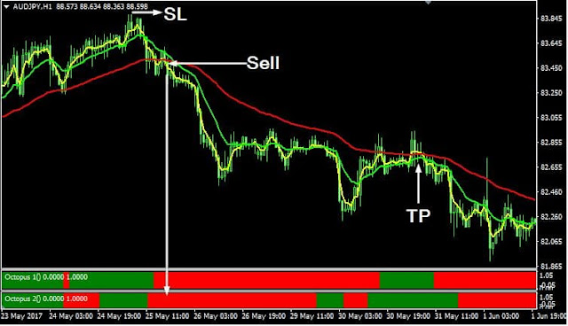 Forex Octopus Trading System in bearish market