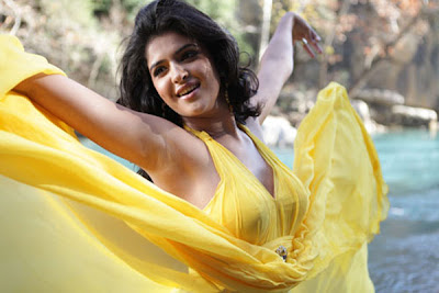 Deeksha Seth Latest hot Stills from Nippu