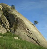 La Pinos Budiño