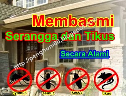 Membasmi Serangga dan Tikus Secara Alami