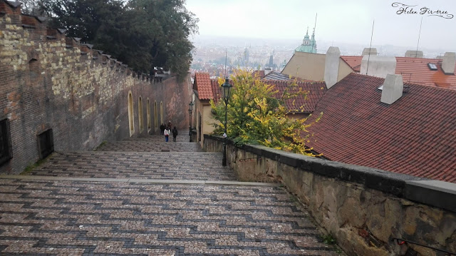 Helen Fir-tree путешествие по Праге trip to Prague