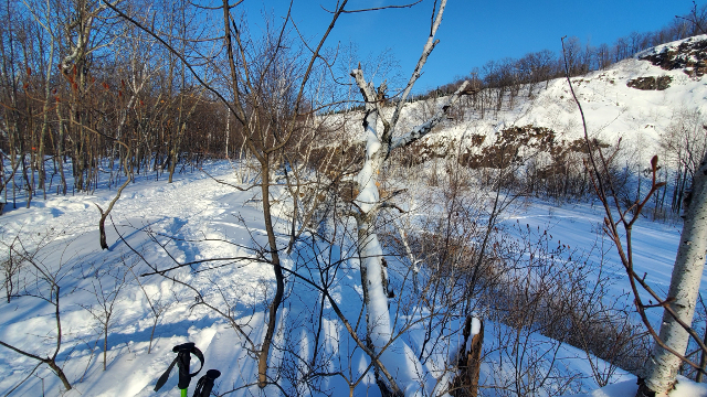 Raquette et marche hivernale | Rive-sud de Montréal