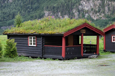 Roofs in Norway Seen On lolpicturegallery.blogspot.com