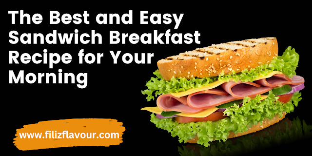 Best and Easy Sandwich Breakfast Recipe filizflavour