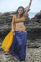 Sunaina, hot, cleavge,navel, and, thigh, show, , images