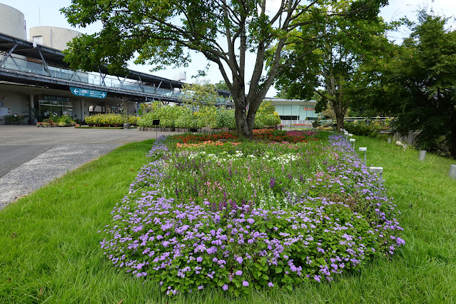 鳥取県西伯郡南部町鶴田　とっとり花回廊　エントランス展示