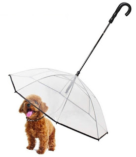 Pet Transparent Folding Umbrella For Dogs With Built-In Leash, Provides Protection from Rain, Snow, Wet Weather