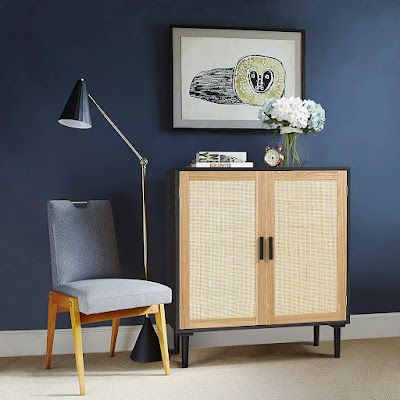 Classic and Modern Storage Cabinet
