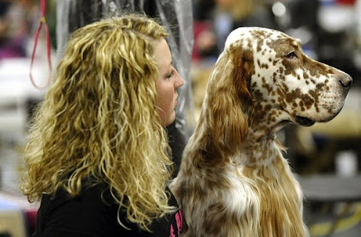 Backstage At The 135th Annual Westminster Dog Show Seen On www.coolpicturegallery.us