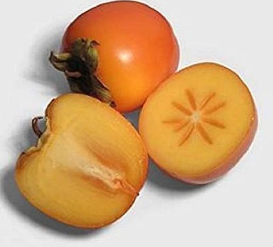 bibit benih seeds biji buah kesemek date plum persimmon best to make jam isi 6 biji Bali