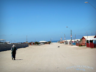 Punta de Choros