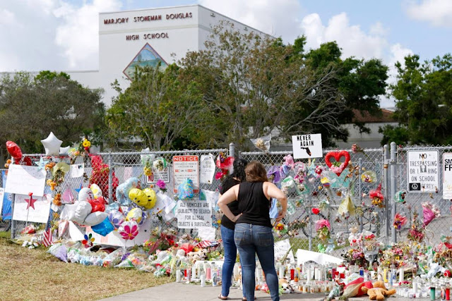 Instituto Marjory Stoneman Douglas