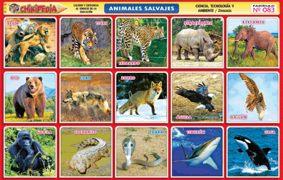 CHIKIPEDIA y CHIKILINES - LÁMINAS ESCOLARES: Nº 350: ANIMALES VERTEBRADOS