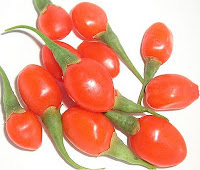 Manfaat Buah Goji Berry Bagi Kesehatan