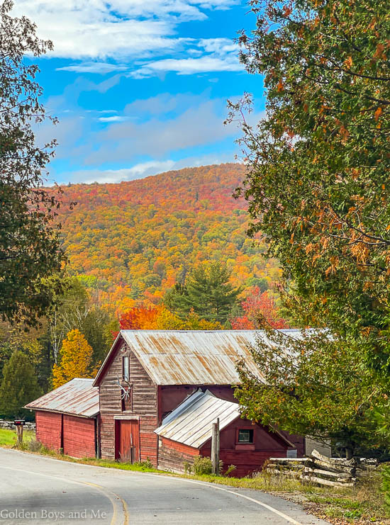Fall foliage in the Adirondacks - www.goldenboysandme.com