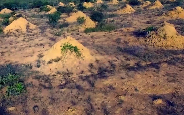 Os pesquisadores não têm a lista das cidades por onde os murundus passam, mas na Bahia, eles ocupam o território de Palmeiras, Lençóis, Mucugê e seguem pelo norte de Minas (Foto: Divulgação)