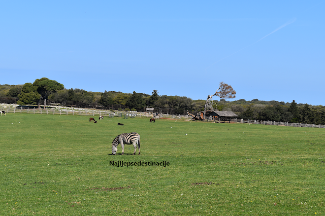 Safari park