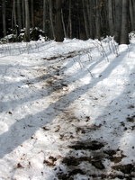 Igra svetlobe in senc