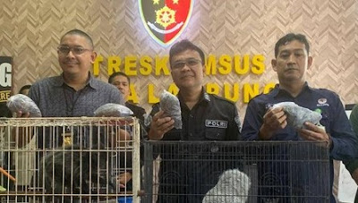 Polda Lampung Ungkap Penyeludupan Satwa Dilindungi