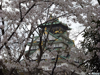 桜と大阪城