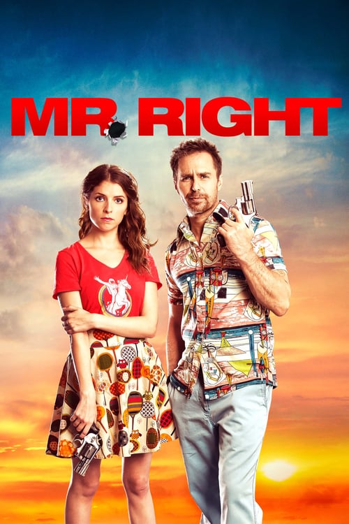 Ver Mr. Right 2016 Pelicula Completa En Español Latino