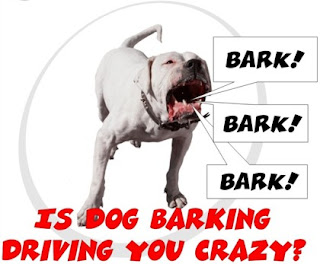 Dog Behavior Training - Barking Problem