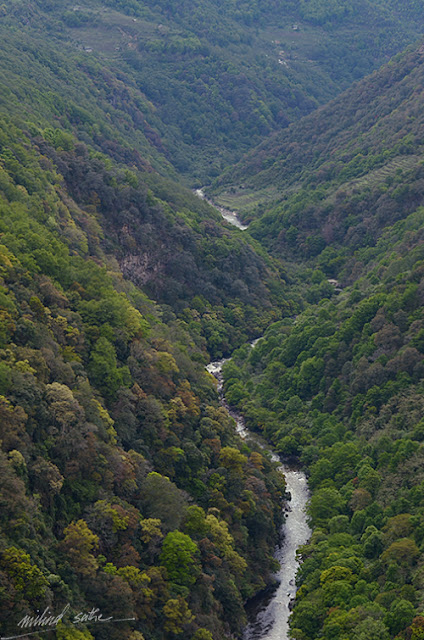 Green in Bhutan, photo by Milind Sathe (www.milind-sathe.com)