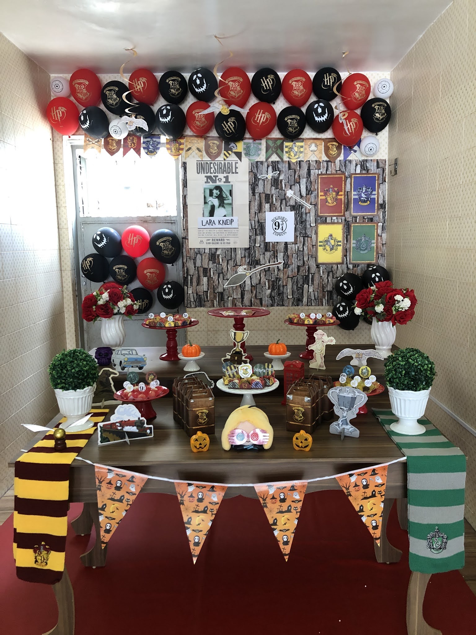 Aniversário Harry Potter