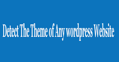 Detect wordpress theme