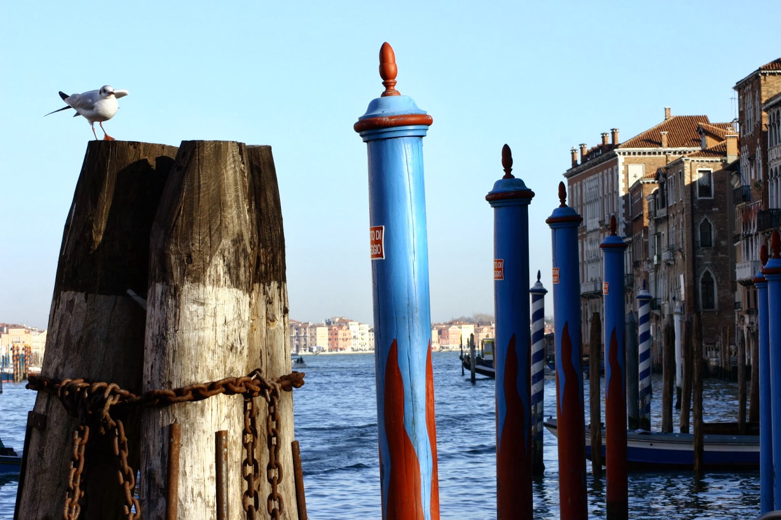 bricola and seagull in Venice