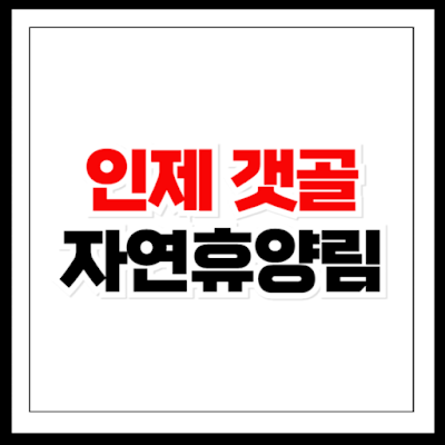 인제 갯골 자연휴양림 예약